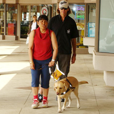 guiddog_shoppingmall