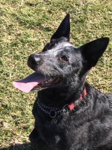 photo of Maddie by Juile Tait