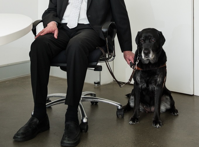 Parting is such sweet sorrow; my final Dog&nbsp;Blog